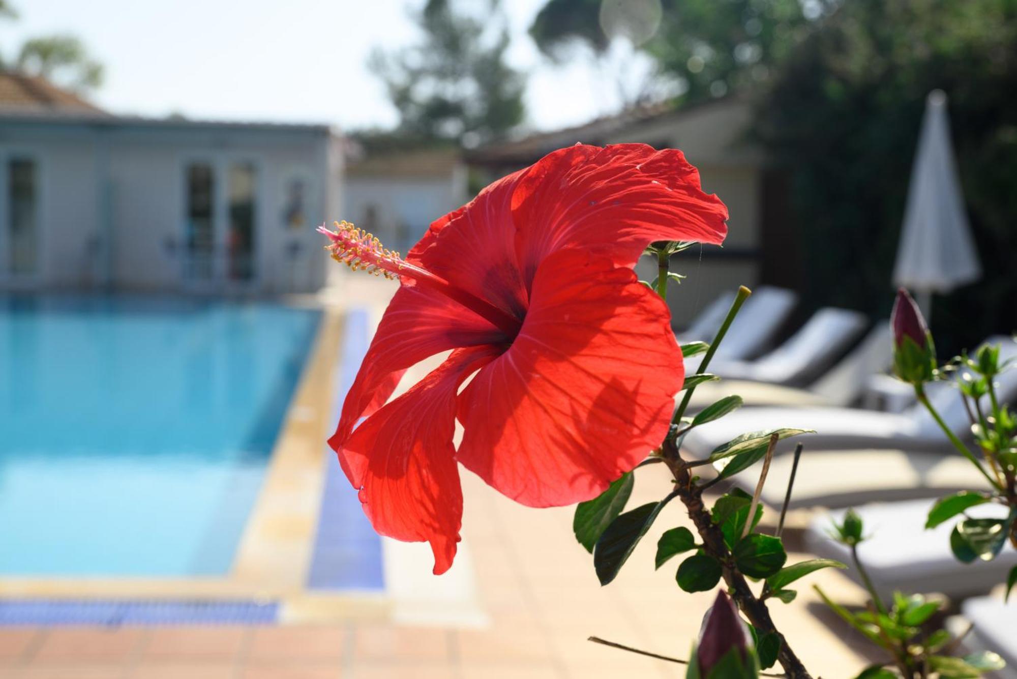 Hotel Cavomarina Beach- Adults Only
